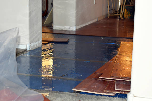 Professional Basement Flood Cleanup technician working in Rindge, NH